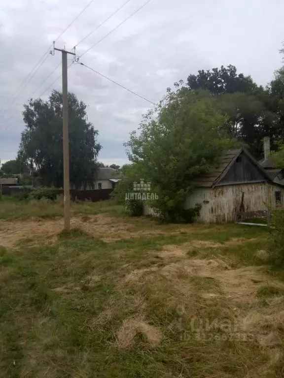 Дом в Воронежская область, Нижнетуровское с/пос, с. Нижнее Турово ... - Фото 1