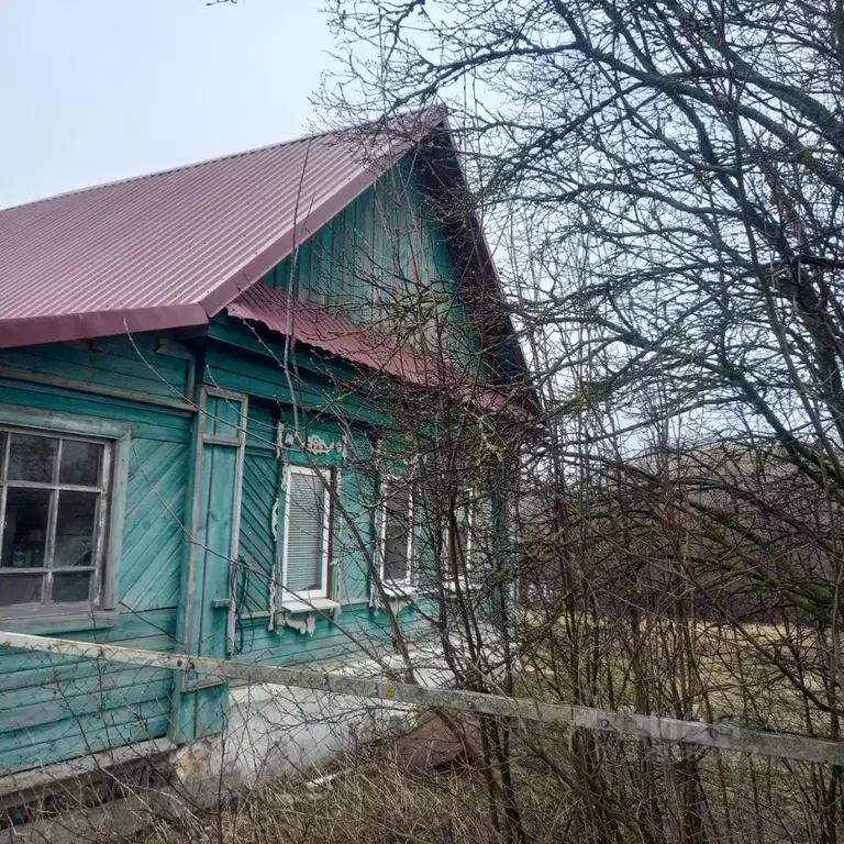 Дом в Пензенская область, Лунинский район, с. Лесной Вьяс  (45 м) - Фото 1