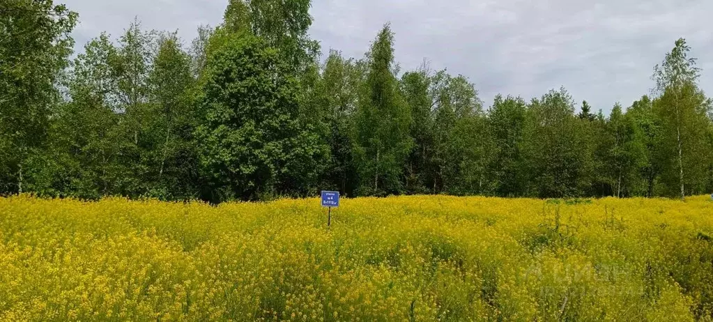 Участок в Ленинградская область, Выборгский район, Полянское с/пос, ... - Фото 1