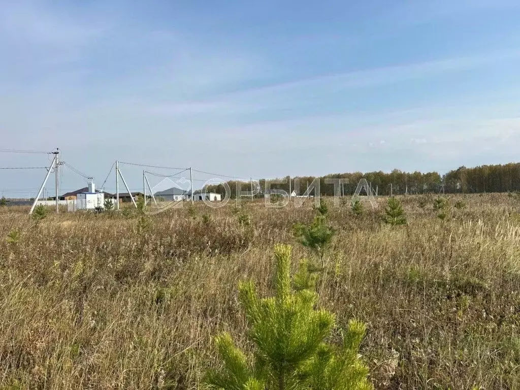 Участок в Тюменская область, Тюменский район, д. Елань  (8.19 сот.) - Фото 1