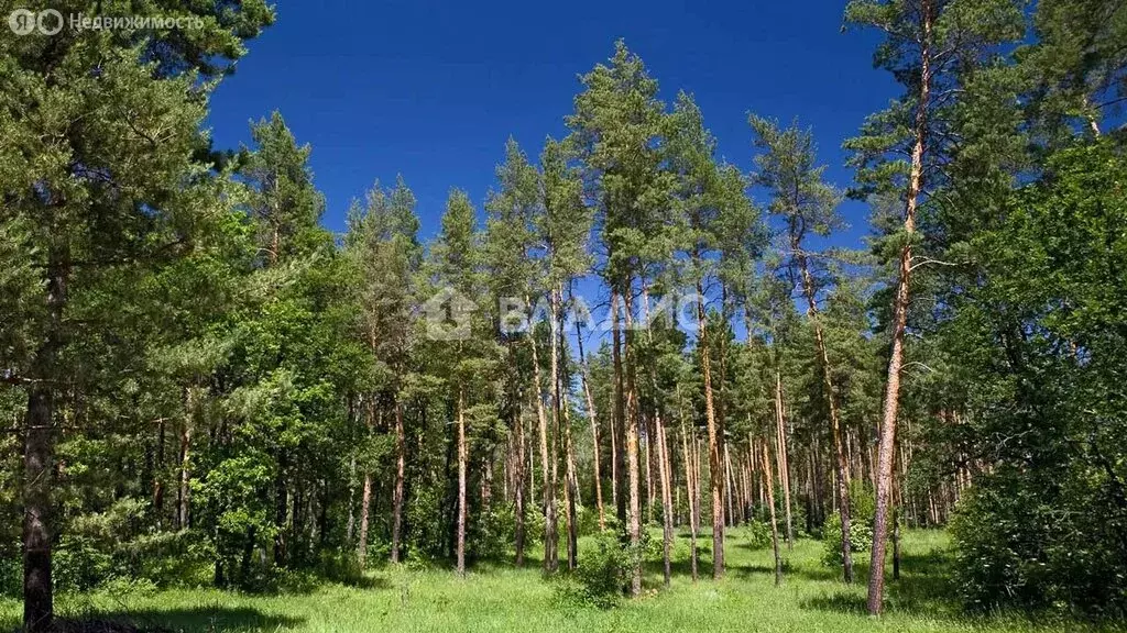 Участок в Одинцовский городской округ, посёлок Мозжинка (435 м) - Фото 0