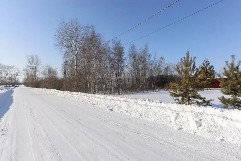 Участок в Тюменская область, Тюмень ул. Изобильная (6.4 сот.) - Фото 1
