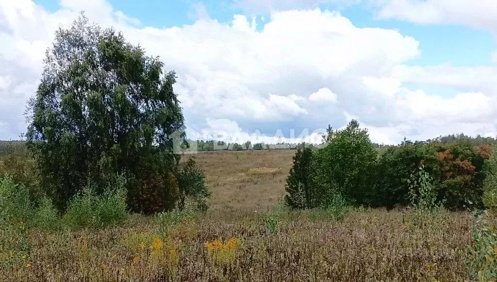 Участок в Владимирская область, Владимир с. Мосино, ул. Березная (13.6 ... - Фото 1