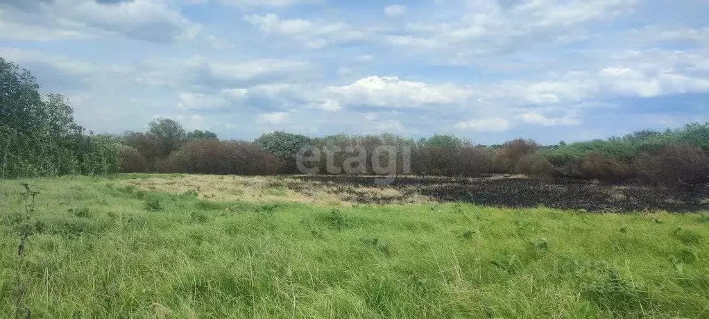Участок в Воронежская область, с. Новая Усмань ул. Крамского (8.0 ... - Фото 1