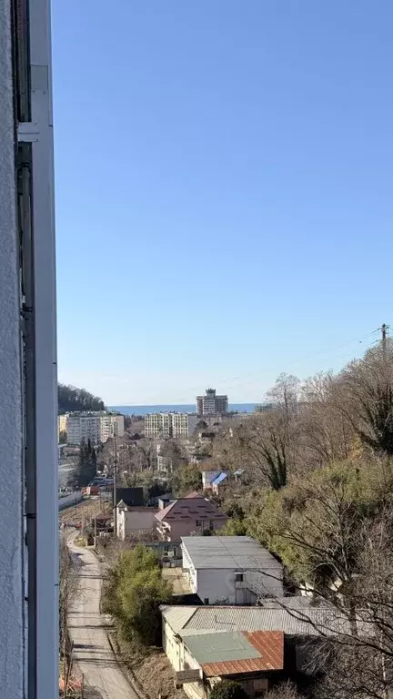 Студия Краснодарский край, Сочи ул. Искры, 88к3 (29.0 м) - Фото 2