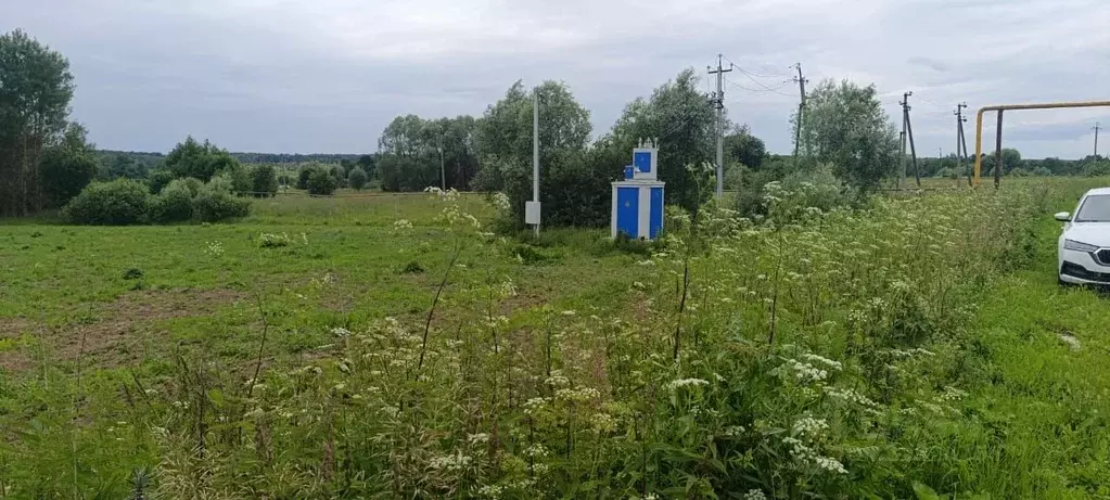 Участок в Калужская область, Жуковский район, Совхоз Чаусово с/пос  ... - Фото 2