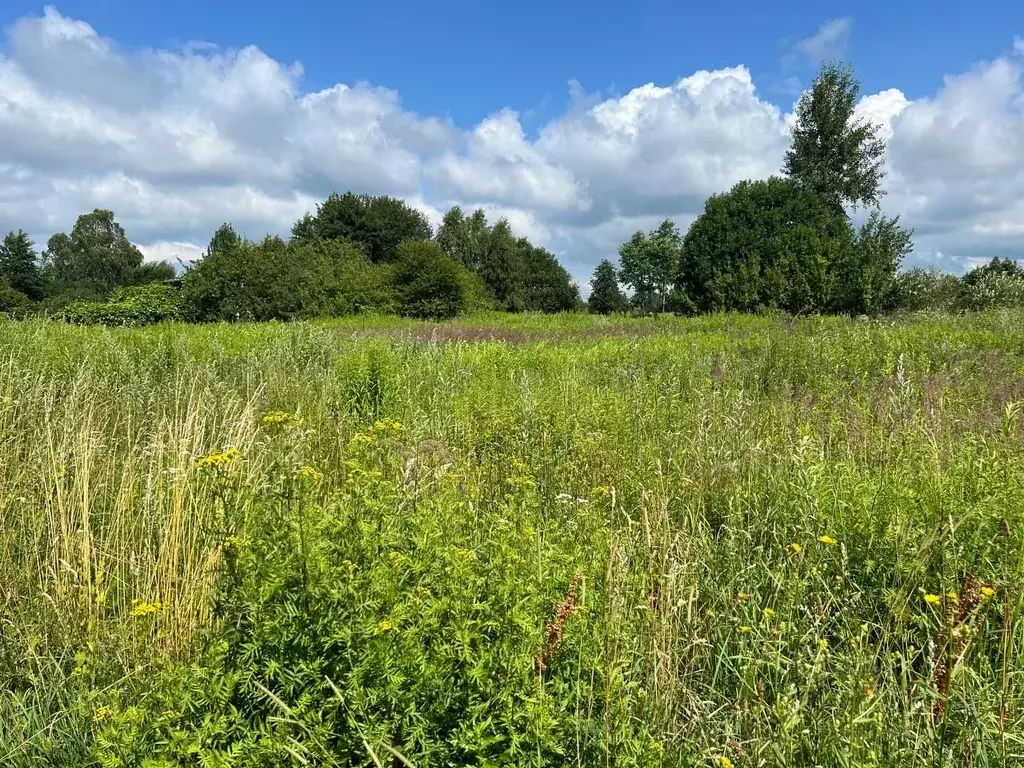 Участок в Калининградская область, Мамоново  (6.0 сот.) - Фото 1