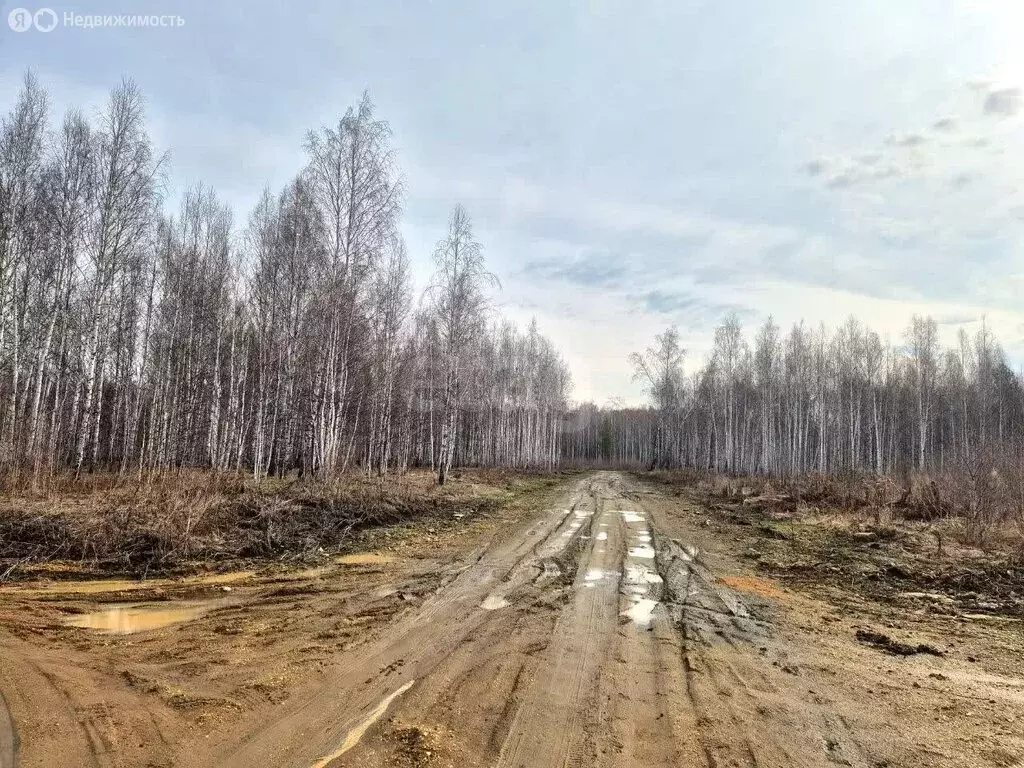 Участок в Челябинская область, Копейск (6 м) - Фото 1