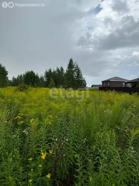 Участок в Тульская область, муниципальное образование Тула, деревня ... - Фото 1