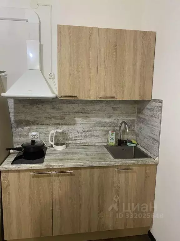 Студия Санкт-Петербург просп. Ветеранов, 175к4 (24.7 м) - Фото 2