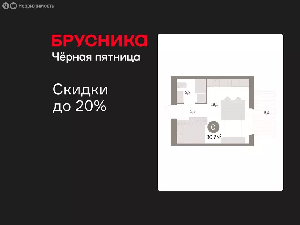 Квартира-студия: Новосибирский район, рабочий посёлок Краснообск, 3-й ... - Фото 1