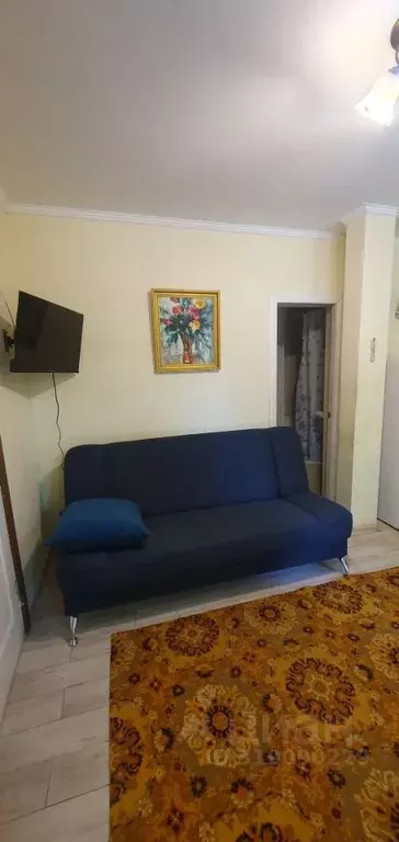 Студия Крым, Ялта ул. Киевская, 30 (20.0 м) - Фото 0