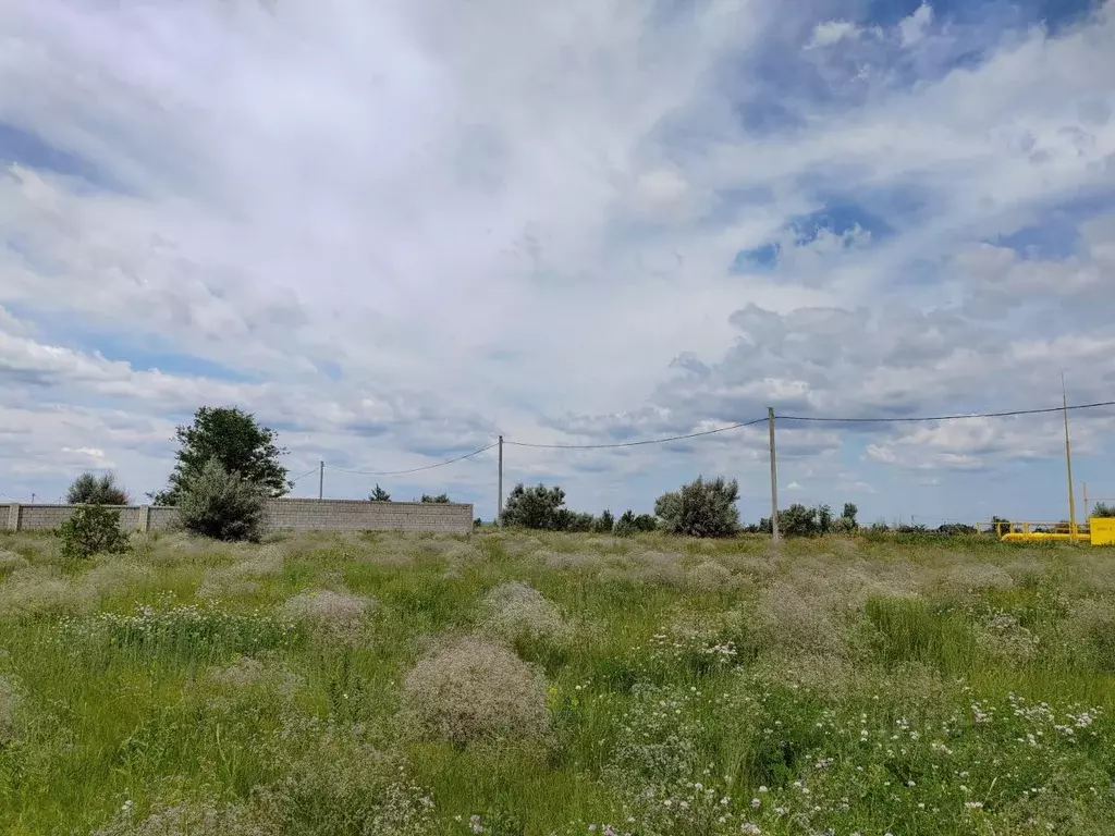 Участок в Самарская область, Ставропольский район, с. Ягодное ул. ... - Фото 1