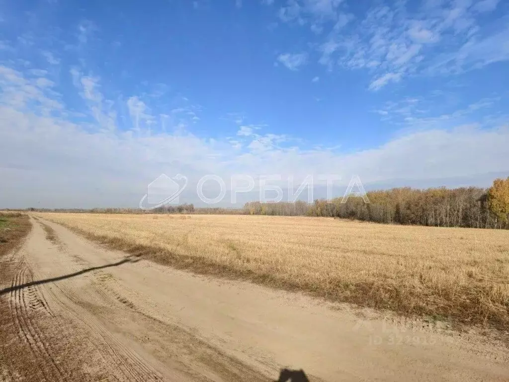 Участок в Тюменская область, Тюменский муниципальный округ, с. Борки  ... - Фото 2
