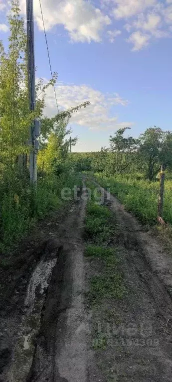 Участок в Мордовия, Саранск Зеленый Друг СНТ,  (4.2 сот.) - Фото 1