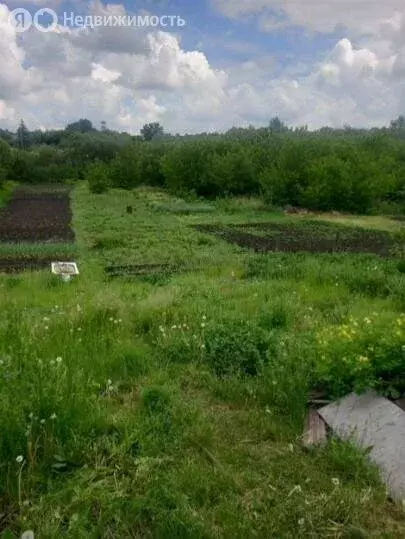 Дом в Губкин, улица Иноходцева (46.6 м) - Фото 0