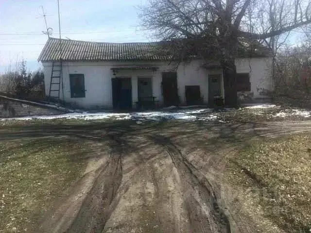 Помещение свободного назначения в Воронежская область, Новохоперский ... - Фото 1