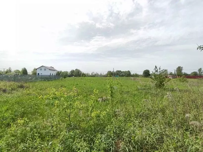 Участок в Московская область, Клин городской округ, Южное СНТ ул. 1-я ... - Фото 0