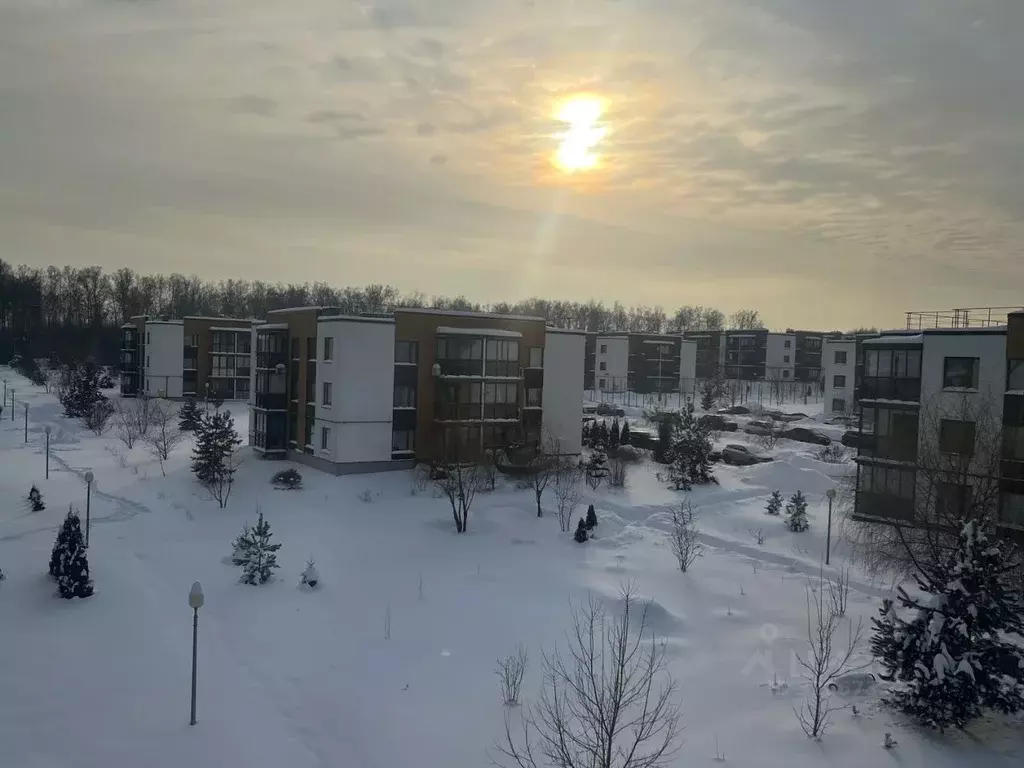 3-к кв. Московская область, Истра муниципальный округ, д. Красный ... - Фото 1