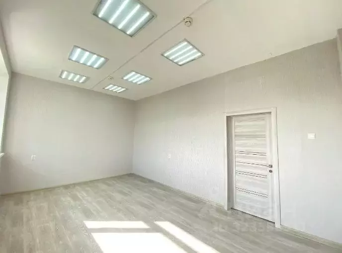 Офис в Новосибирская область, Новосибирский район, Краснообск рп ул. ... - Фото 1