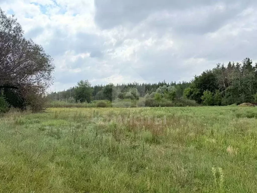 Участок в Воронежская область, с. Новая Усмань ул. Подлесная (14.3 ... - Фото 2