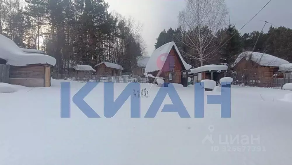 Дом в Красноярский край, Емельяновский муниципальный округ, Василек ... - Фото 2