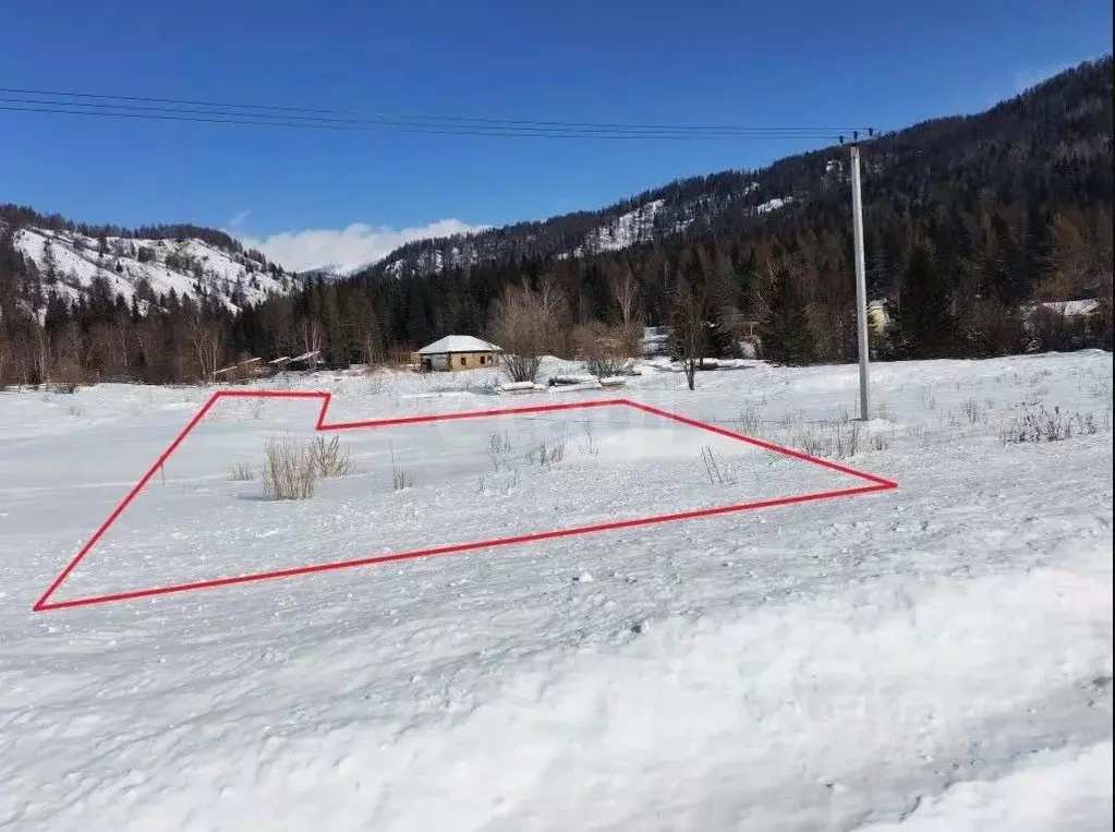 Участок в Алтай, Усть-Коксинский район, Усть-Коксинское с/пос, пос. ... - Фото 1