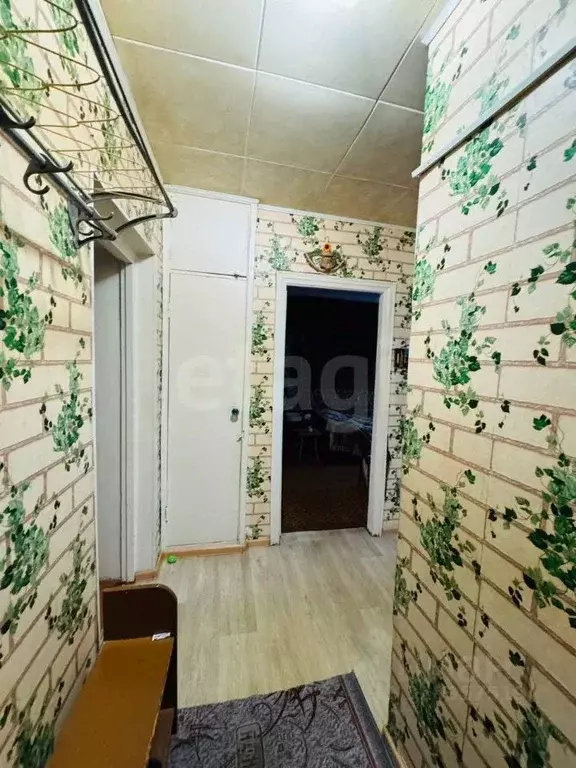 2-к кв. Владимирская область, Костерево Петушинский район, ул. 40 лет ... - Фото 1