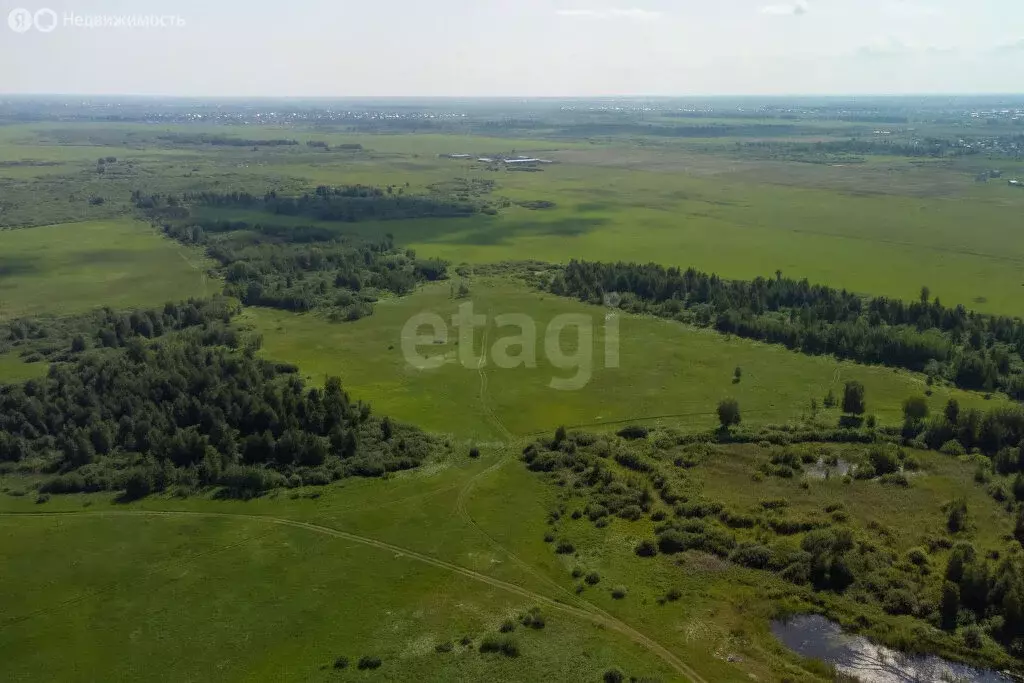 Участок в Тюменский район, село Яр (30.3 м) - Фото 0