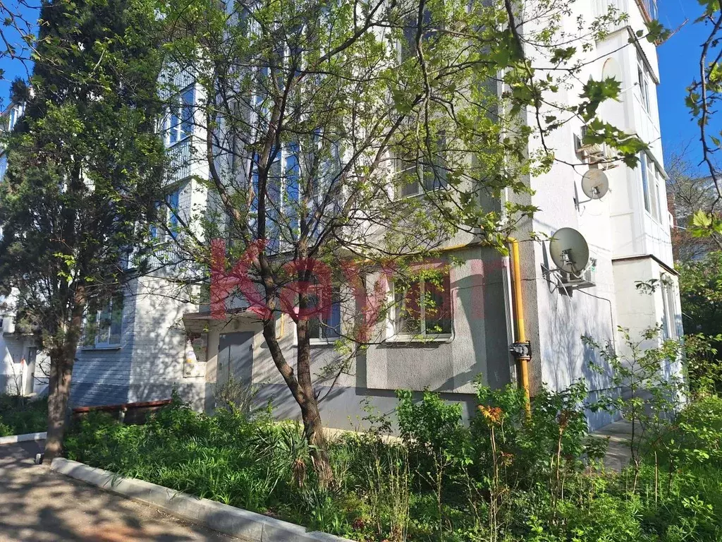 2-к кв. Краснодарский край, Геленджик ул. Гринченко, 36 (40.0 м) - Фото 2