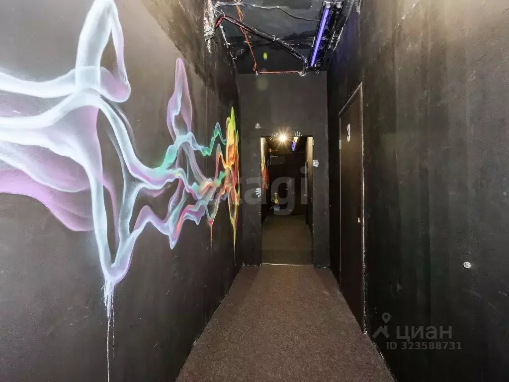 Помещение свободного назначения в Новосибирская область, Новосибирск ... - Фото 1