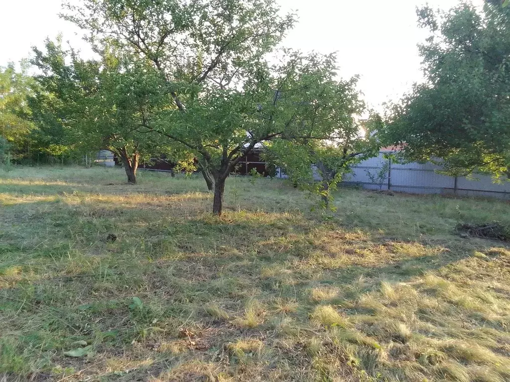Участок в Ростовская область, Ростов-на-Дону Защитник садовое ... - Фото 1