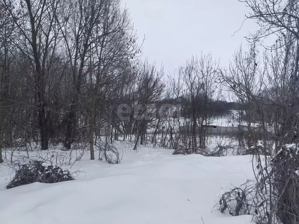 Участок в Белгородская область, Алексеевский муниципальный округ, ... - Фото 1
