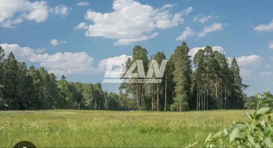 Участок в Челябинская область, Красноармейский район, Лазурненское ... - Фото 2