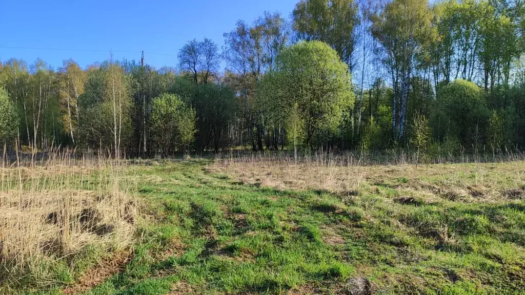 Участок в Московская область, Домодедово городской округ, с. Добрыниха ... - Фото 0
