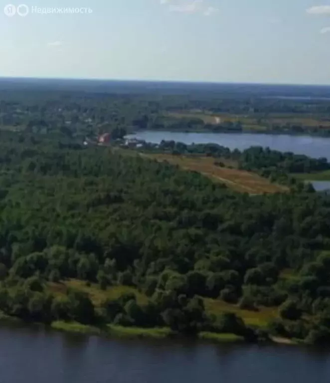 Участок в Куньинский район, Жижицкая волость, деревня Хмелево, 15 (275 ... - Фото 1