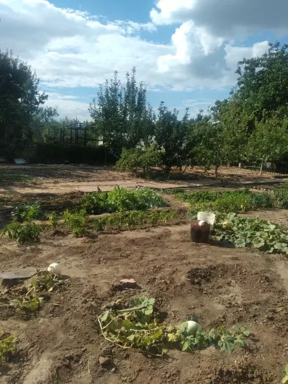 участок в волгоградская область, городищенский район, ерзовское . - Фото 0