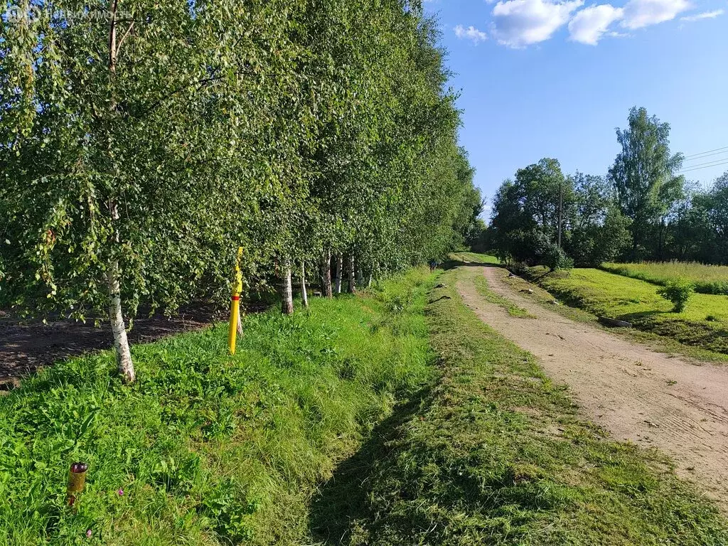 Участок в деревня Ершово, улица Коровина (15 м) - Фото 0