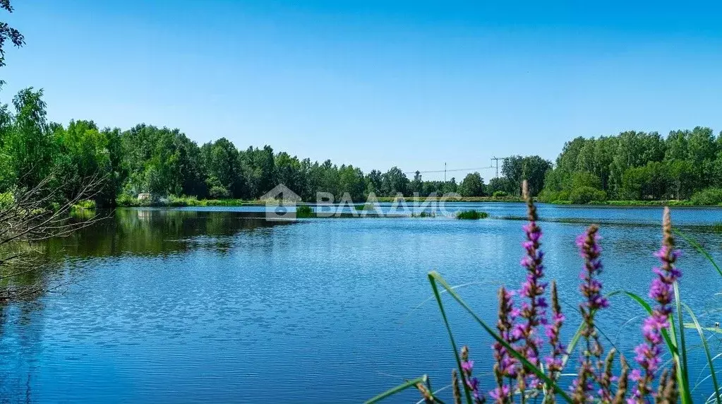 Участок в Московская область, Богородский городской округ, с. Ямкино ... - Фото 1
