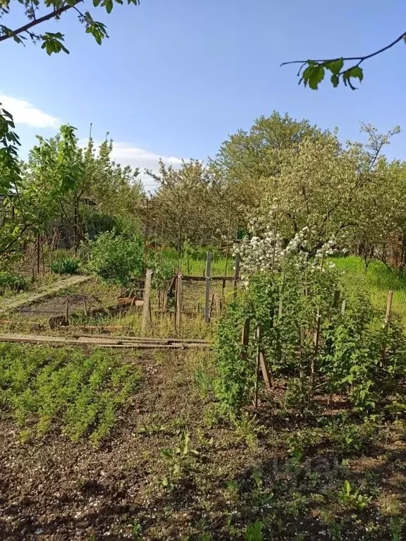 Участок в Ростовская область, Азов Азовский район, Мичуринец-3 мкр, ... - Фото 1