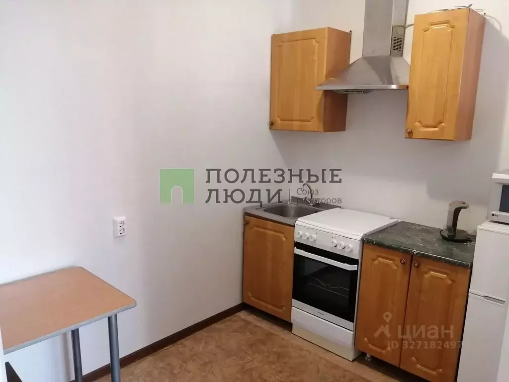 Студия Амурская область, Благовещенский район, с. Чигири ул. ... - Фото 1