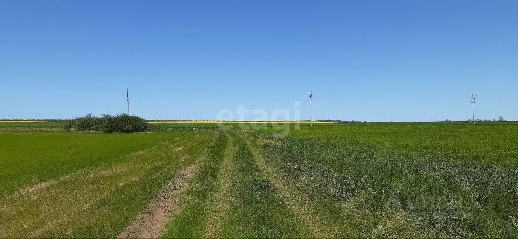 Участок в Крым, Черноморский район, с. Межводное ул. Джарылгачская ... - Фото 1