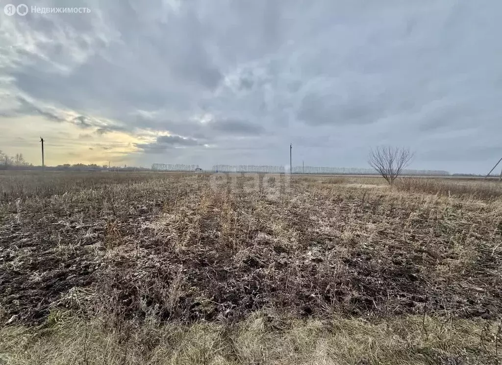 Участок в село Берёзово, Приозёрная улица (10 м) - Фото 0