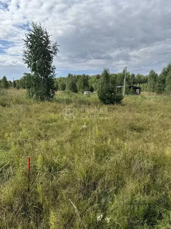 Участок в Новосибирская область, Новосибирский район, Кубовинский ... - Фото 1