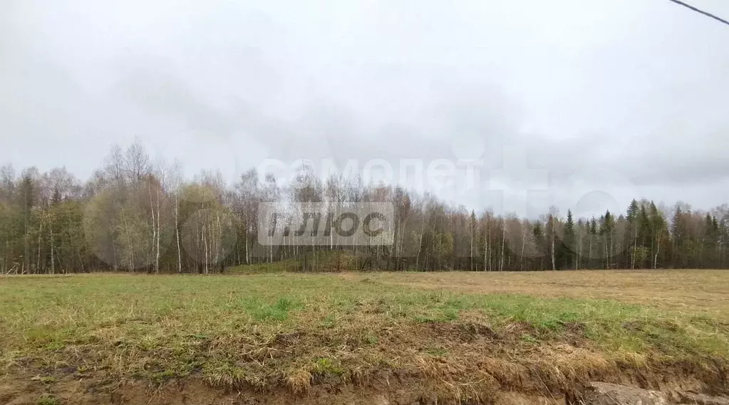 Участок 8,5 сот. (ИЖС) - Фото 1