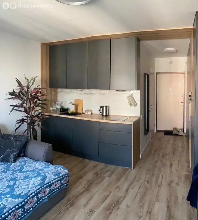 Квартира-студия: Виллозское городское поселение, посёлок Новогорелово, ... - Фото 2