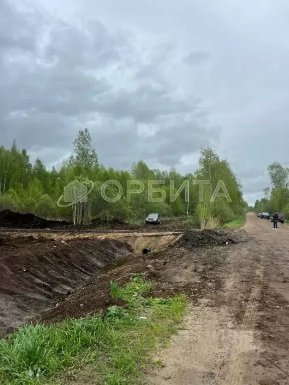 Участок в Тюменская область, Тюменский муниципальный округ, д. ... - Фото 2