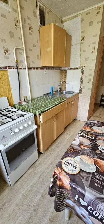 2-к кв. Свердловская область, Березовский Театральная ул., 23 (46.0 м) - Фото 1