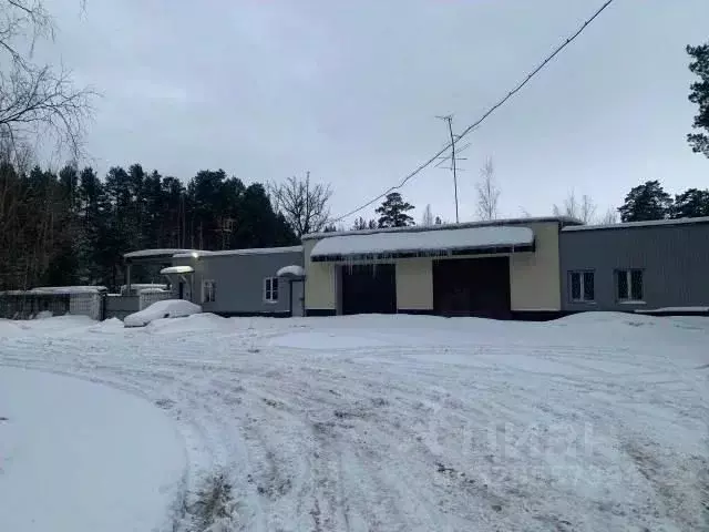 Помещение свободного назначения в Ленинградская область, Сосновый Бор ... - Фото 1