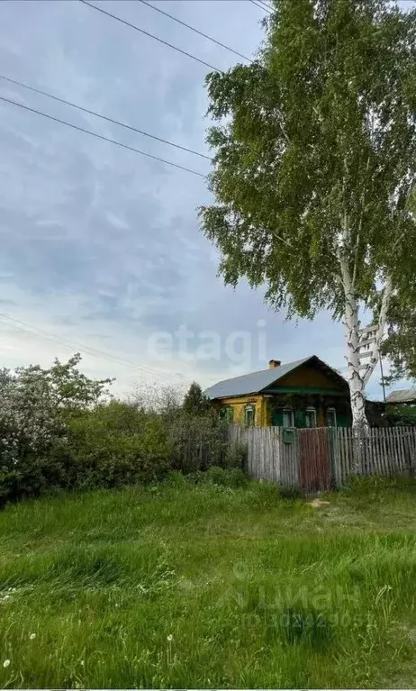 Дом в Владимирская область, Муромский район, с. Борисоглеб Зеленая ... - Фото 1